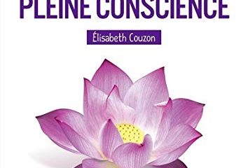 Le Petit livre de la méditation de pleine conscience