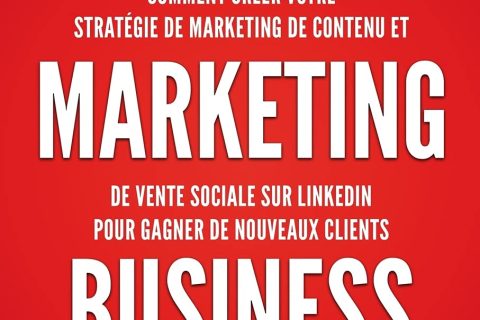 LinkedIn Marketing Business: Comment créer en 2021 votre stratégie de marketing de contenu, générer des relations d'affaires authentiques et des clients B2B et B2C rentables utilisant la méthode DASKY