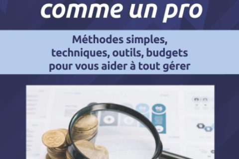 Business plan comme un pro: Méthodes simples, techniques, outils, budgets pour vous aider à tout gérer