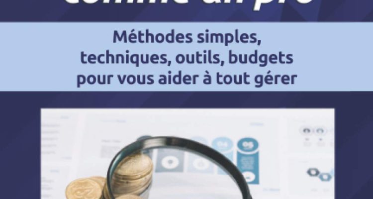 Business plan comme un pro: Méthodes simples, techniques, outils, budgets pour vous aider à tout gérer