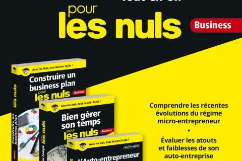 L'auto-entrepreneur Tout-en-Un pour les Nuls