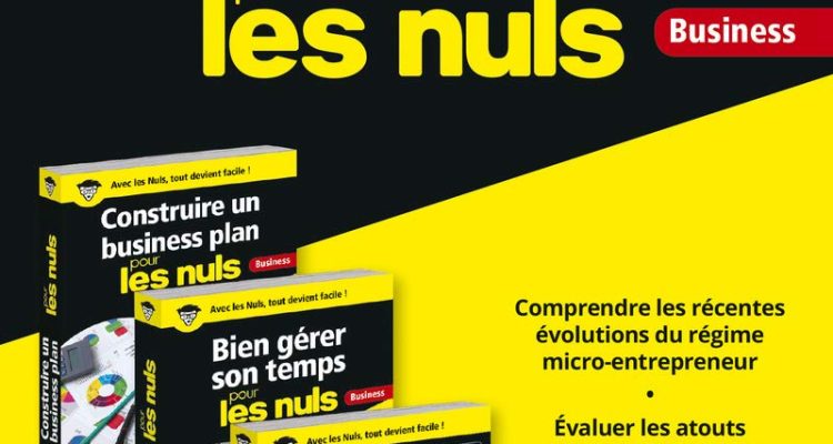 L'auto-entrepreneur Tout-en-Un pour les Nuls