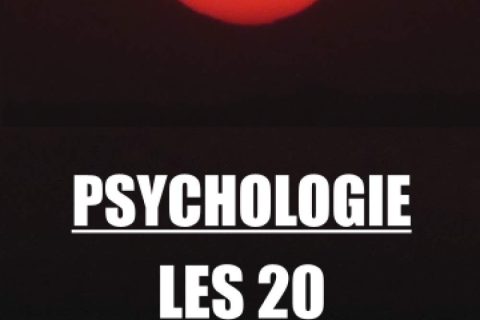 PSYCHOLOGIE, LES 20 QUESTIONS EXISTENTIELLES: questions-réponses, livre psychologie, livre thérapie brève, livre développement personnel