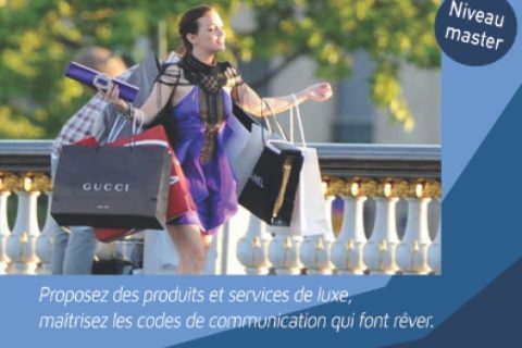 Les codes du luxe, story telling et vidéo: Maitrisez les codes du luxe, de l'événementiel, de la charte graphique et du webmarketing, propre au luxe