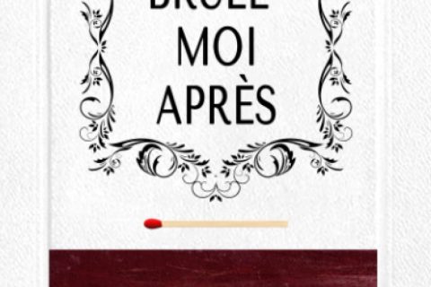 Brule-moi après: Un livre de développement personnel pour adultes (Blanche Edition)