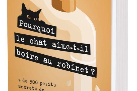 Pourquoi le chat aime-t-il boire au robinet ?