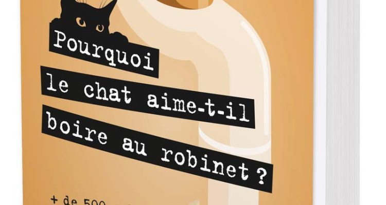 Pourquoi le chat aime-t-il boire au robinet ?