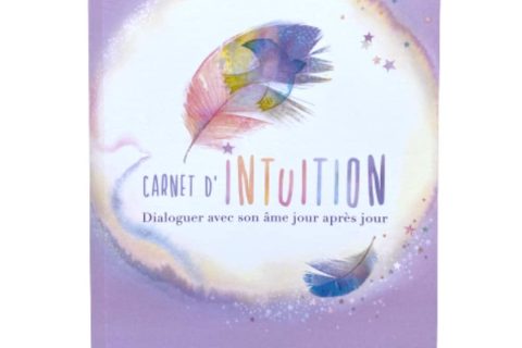 Carnet d'intuition - Dialoguer avec son âme jour après jour