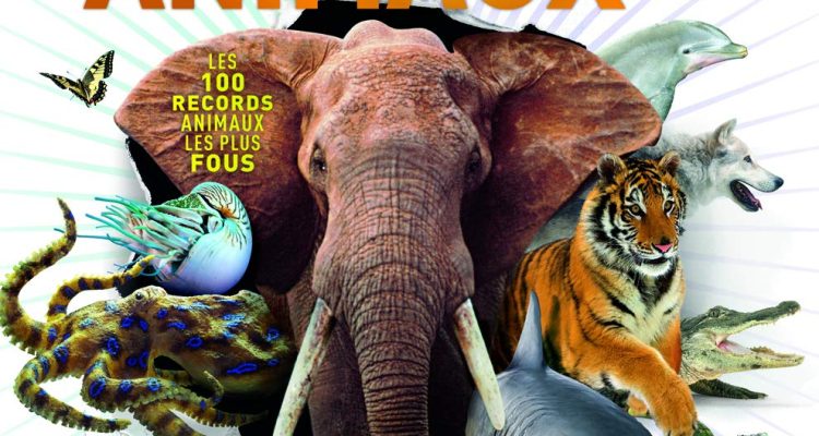 Incroyables animaux. Les 100 records animaux les plus fous • Dès 9 ans