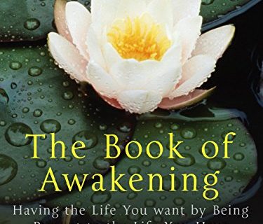 The Book of Awakening: Having the Life You Want By Being Present in the Life You Have (English Edition)