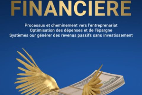 Se libérer des chaines du salariat et atteindre sa liberté financière: Processus et cheminement vers l'entreprenariat, optimisation des dépenses et de ... des revenus passifs sans investissement