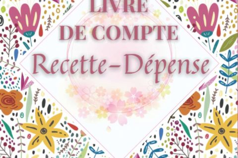 Livre de Compte Recette Dépense: Cahier de tenue de compte pour Auto-entrepreneurs, Micro-entrepreneurs, Associations, Professions libérales… - 120 pages Format A4 (21 × 29,7 cm )