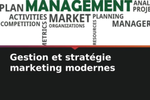 Gestion et stratégie marketing modernes