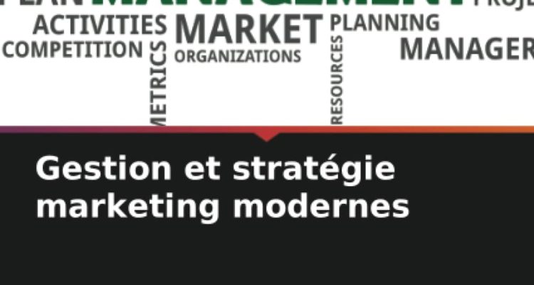 Gestion et stratégie marketing modernes