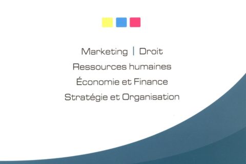 15 études de cas management: Marketing, droit, ressources humaines, économie et finance, stratégie organisa