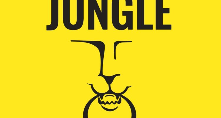 Le livre de la Jungle - Les secrets des meilleures start-ups pour prendre en main ta carrière: Les secrets des meilleures start-ups pour prendre en main ta carrière