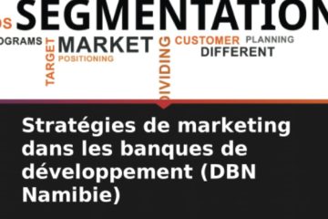 Stratégies de marketing dans les banques de développement (DBN Namibie)