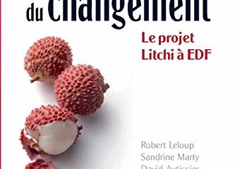 Une innovation en conduite du changement: Le projet Litchi à EDF
