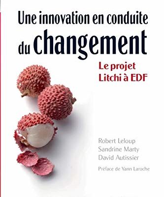 Une innovation en conduite du changement: Le projet Litchi à EDF