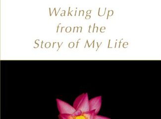 Bare-Bones Meditation: Waking Up from the Story of My Life (English Edition)