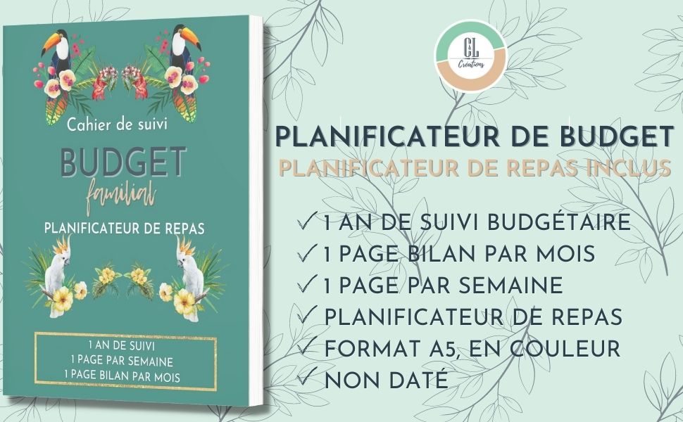 budget familial, cahier de compte, budget planner francais, cahier de budget familial,mon budget 