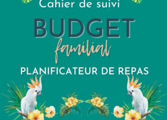 Cahier de suivi BUDGET Familial A5 Jungle en COULEUR, Planificateur de Repas inclus, 1 an de suivi, 1 page par semaine, 1 page bilan par mois: Cahier ... Budget Maman, Livre Budget, Agenda Famille