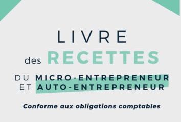 Livre des recettes du micro-entrepreneur et auto-entrepreneur: Conforme aux obligations comptables