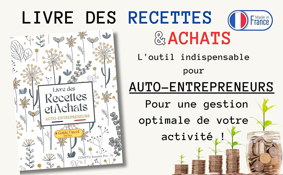 livre de compte 2024 auto entrepreneur